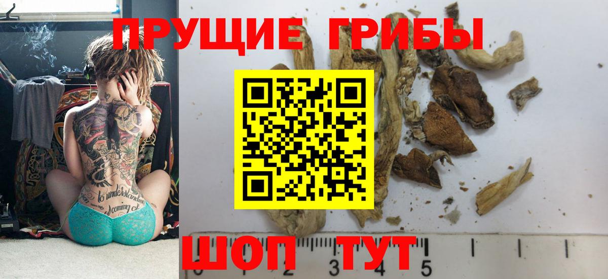 Галлюциногенные грибы Magic Shrooms  Вход с VPN  Мыски 