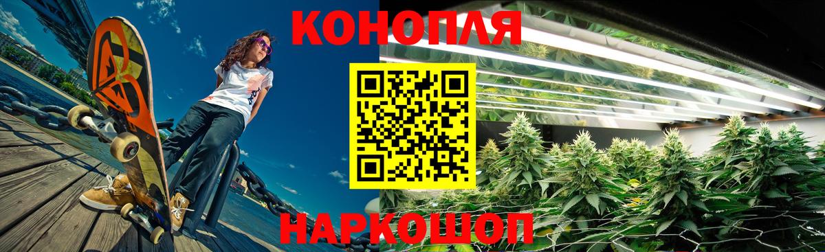 Бошки марихуана план Мыски